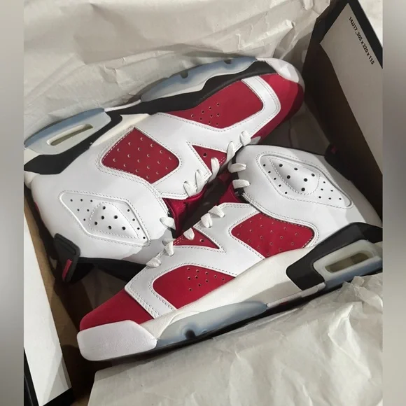 Air Jordan 6 Retro Carmines - Picture 6 of 10